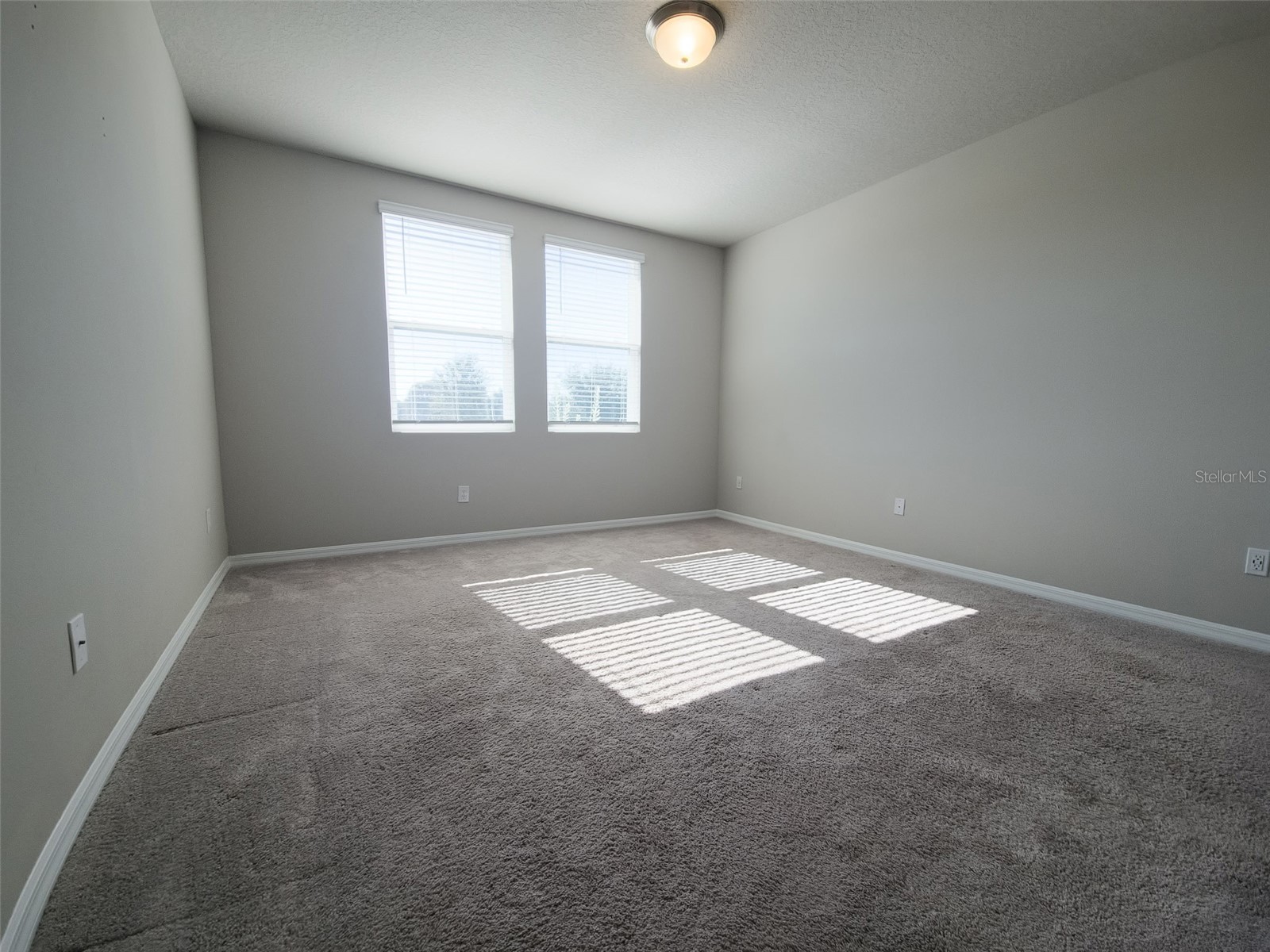 3112 Forrest Plum Court Zephyrhills FL 33540 TB8460445 image5