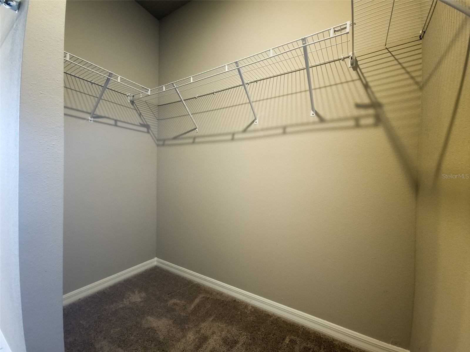 3112 Forrest Plum Court Zephyrhills FL 33540 TB8460445 image7