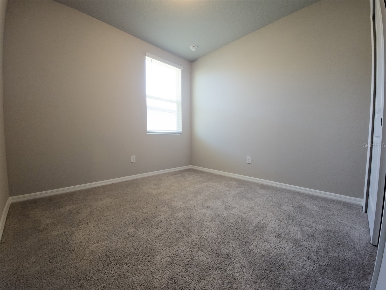 3112 Forrest Plum Court Zephyrhills FL 33540 TB8460445 image8