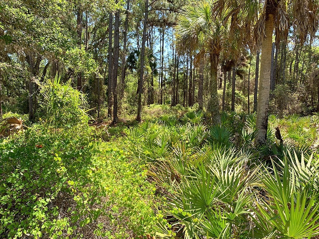 3112 Larissa Street Port Charlotte FL 33948 A4497583 image1