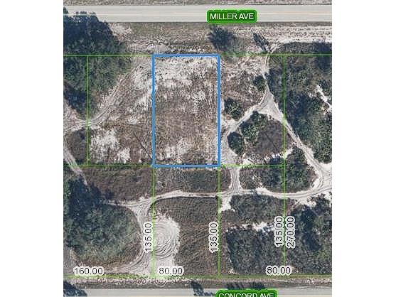 3112 Miller Avenue Lake Placid FL 33852 TB8526654 image1