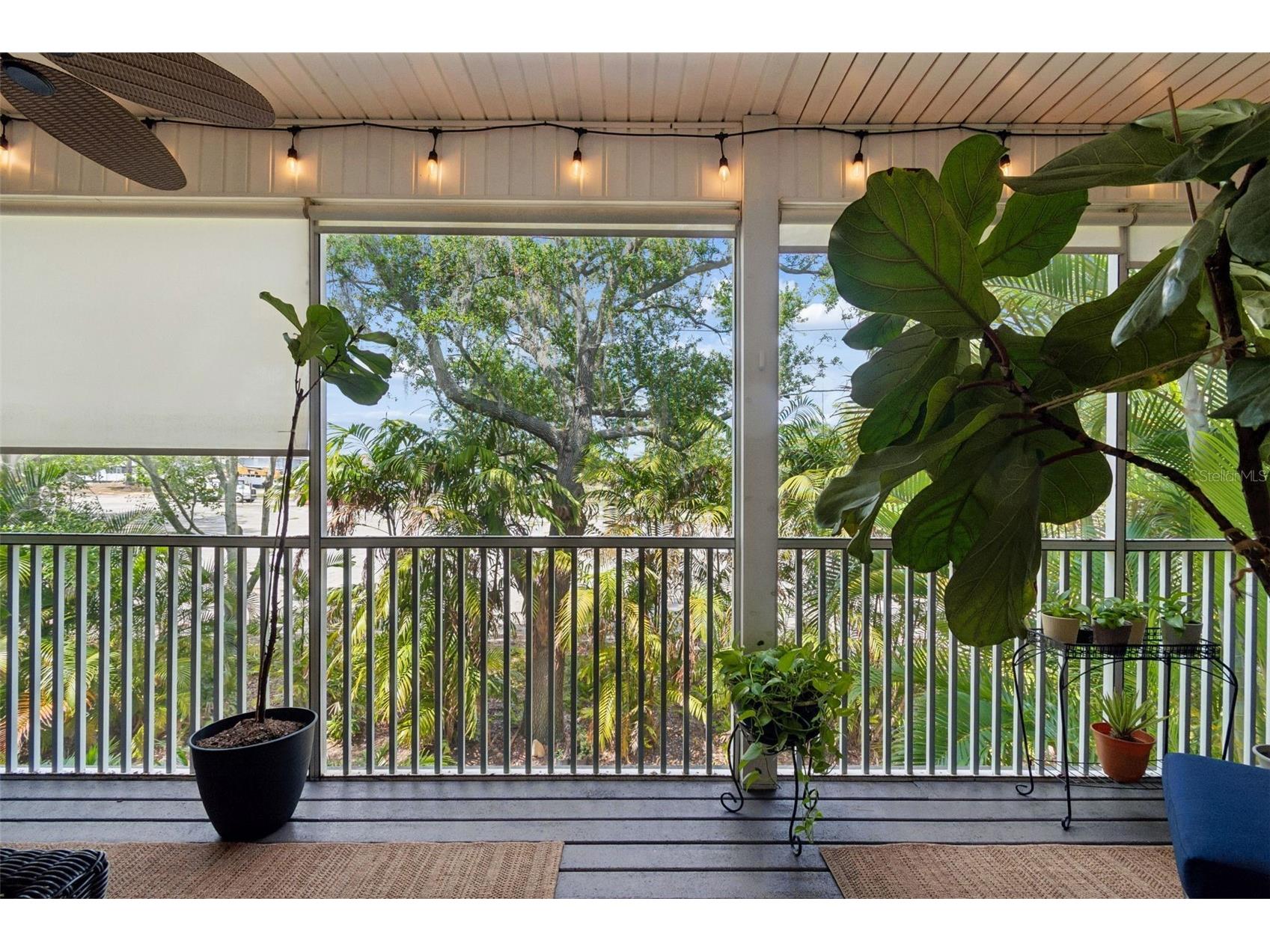 3112 Oyster Bayou Way Clearwater FL 33759 TB8499279 image21