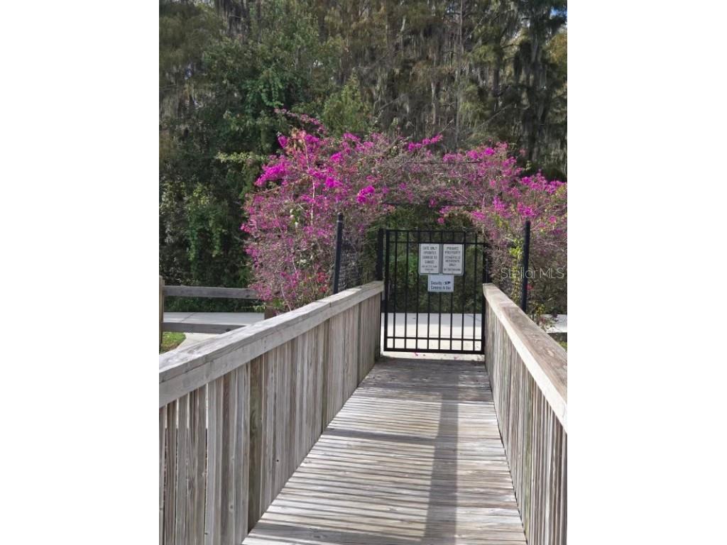 3112 River Branch Circle Kissimmee FL 34741 S5138200 image28