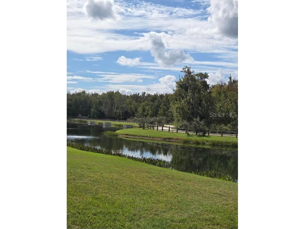 3112 River Branch Circle Kissimmee FL 34741 S5138200 image29