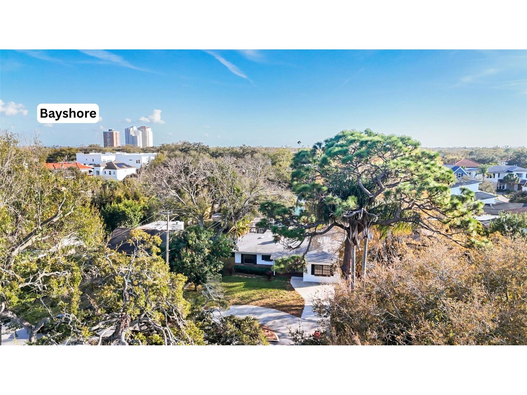 3112 S Julia Circle Tampa FL 33629 TB8477516 image2