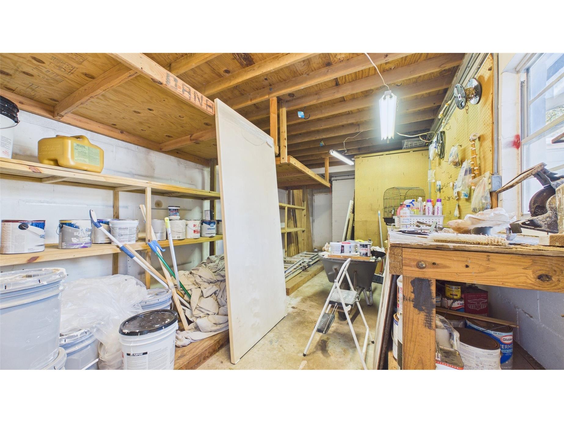 3112 S Julia Circle Tampa FL 33629 TB8477516 image44