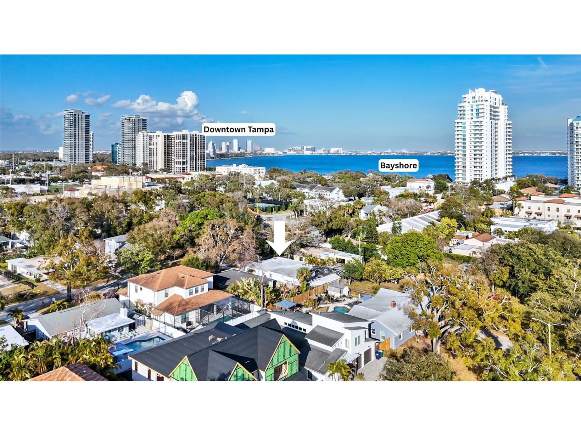 3112 S Julia Circle Tampa FL 33629 TB8477516 image5