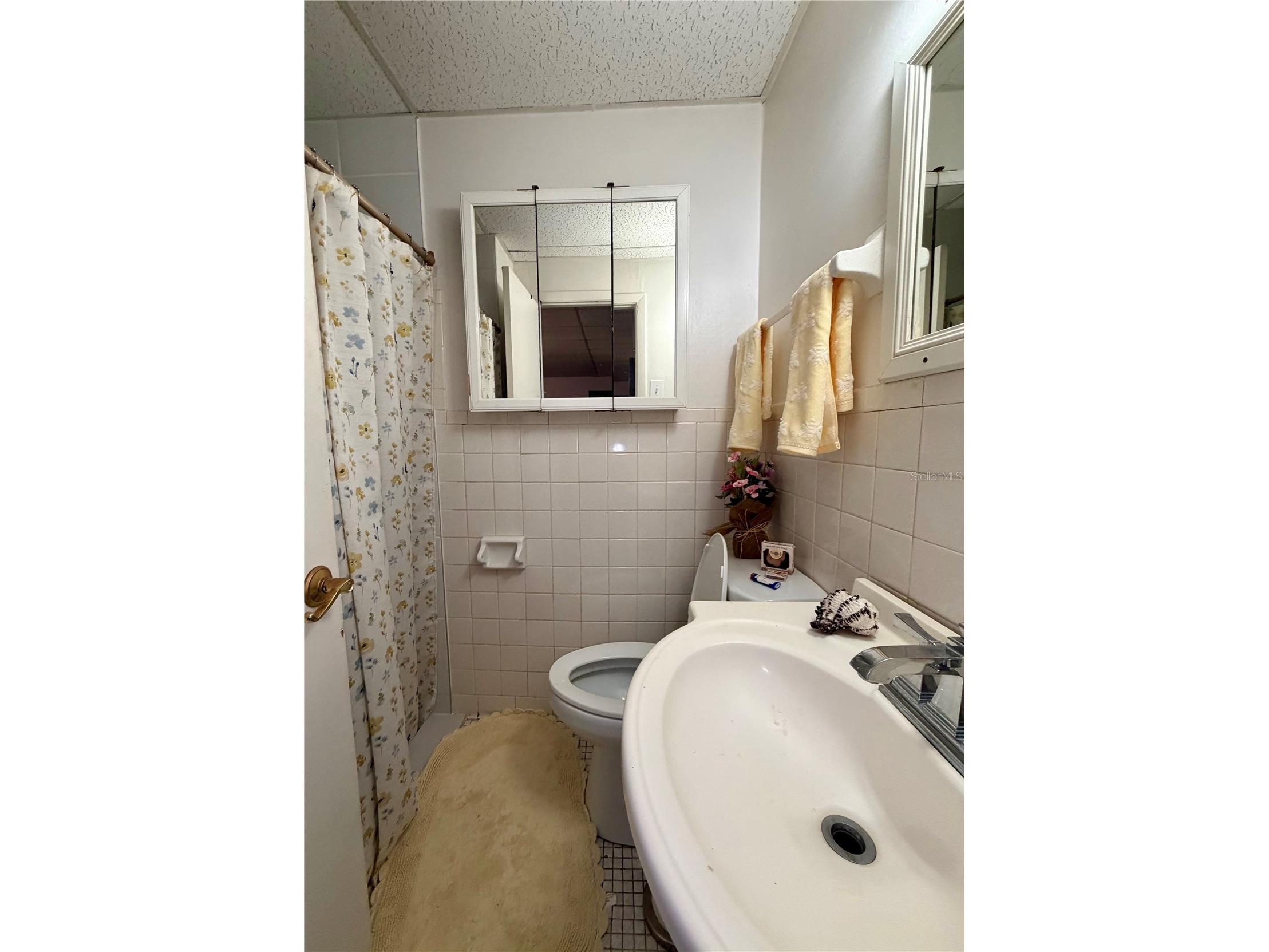 3112 SE 29th Terrace Okeechobee FL 34974 - Taylor Creek TB8506334 image10