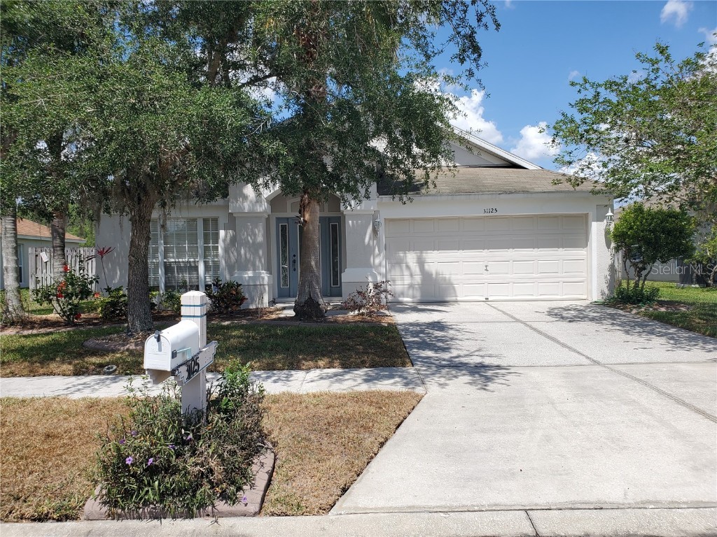 31125 Hannigan Place Wesley Chapel FL 33543 T3437275 image1