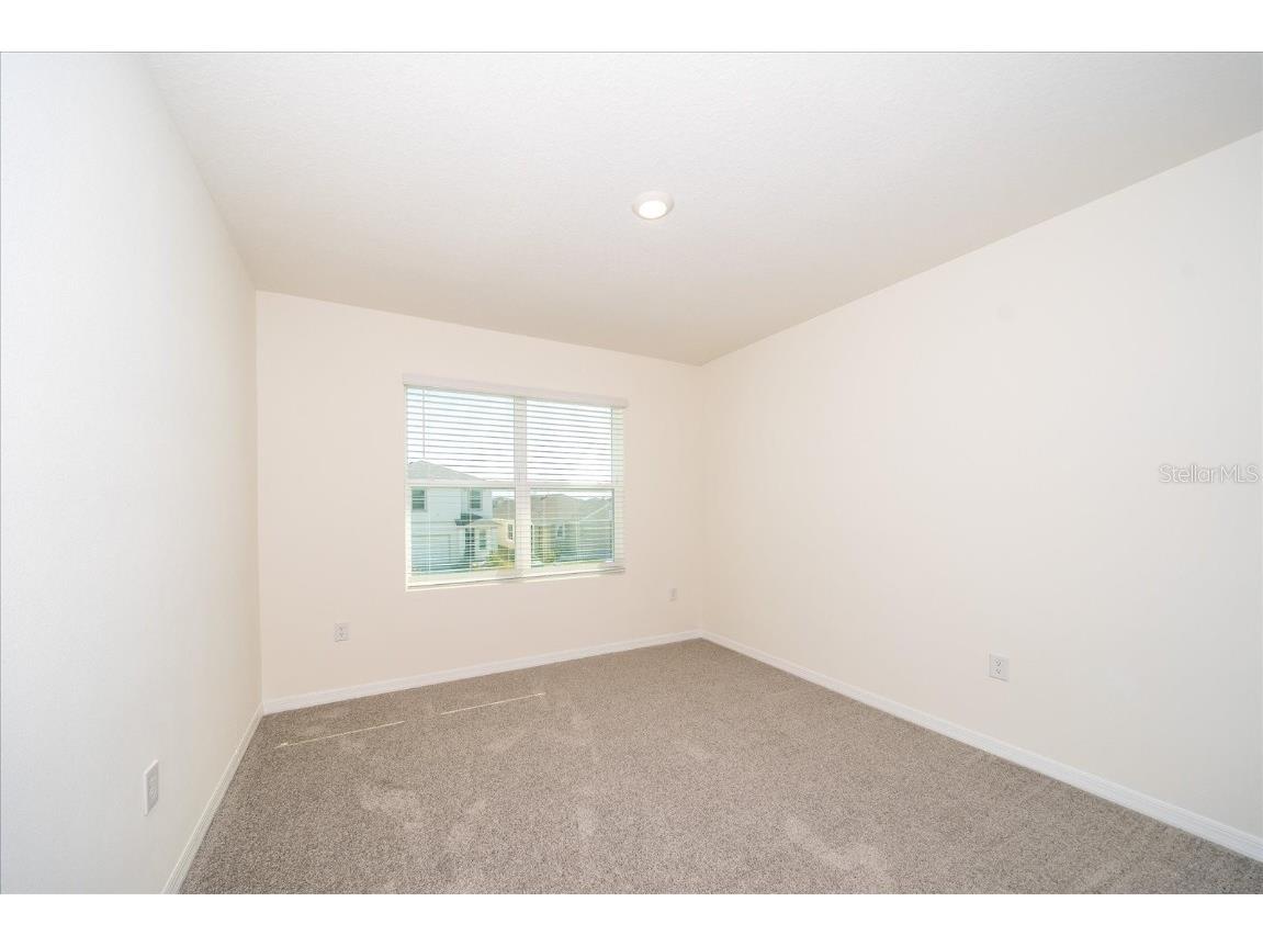 31127 Penny Surf Loop Wesley Chapel FL 33545 TB8406448 image25