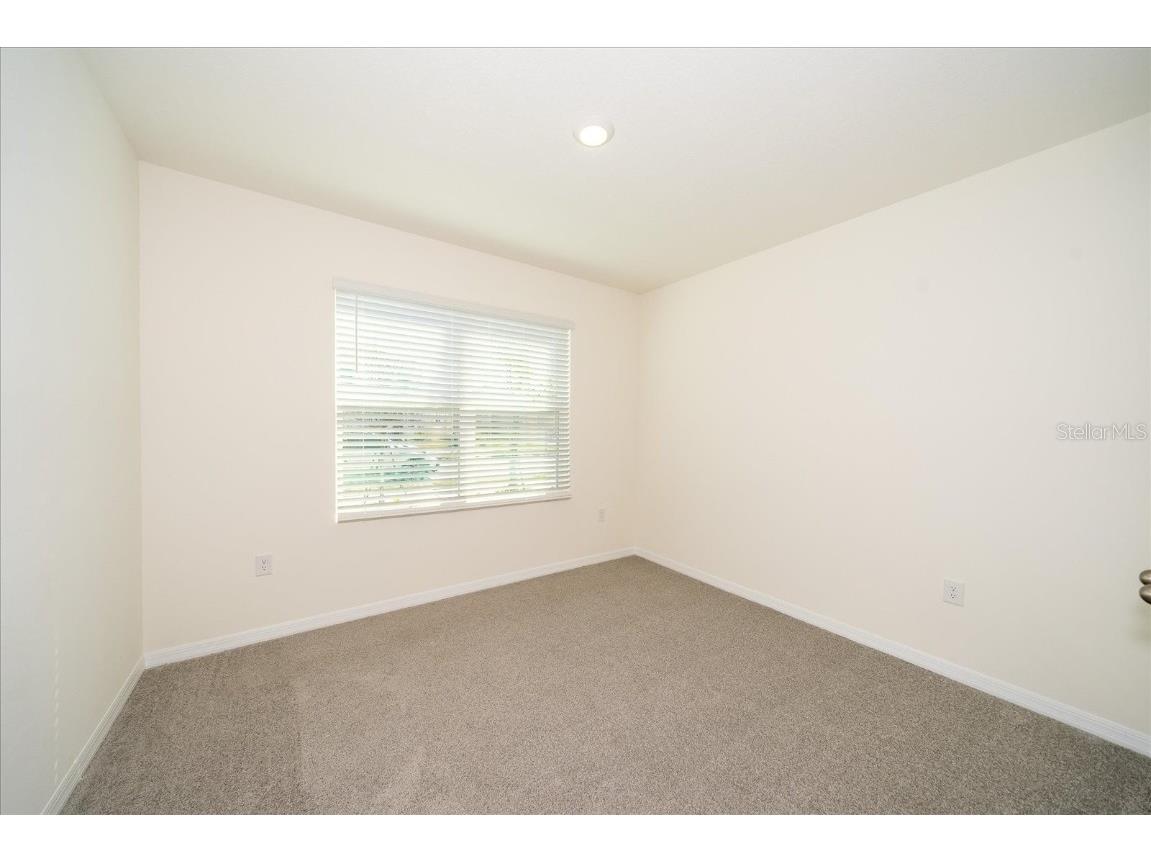 31127 Penny Surf Loop Wesley Chapel FL 33545 TB8406448 image5