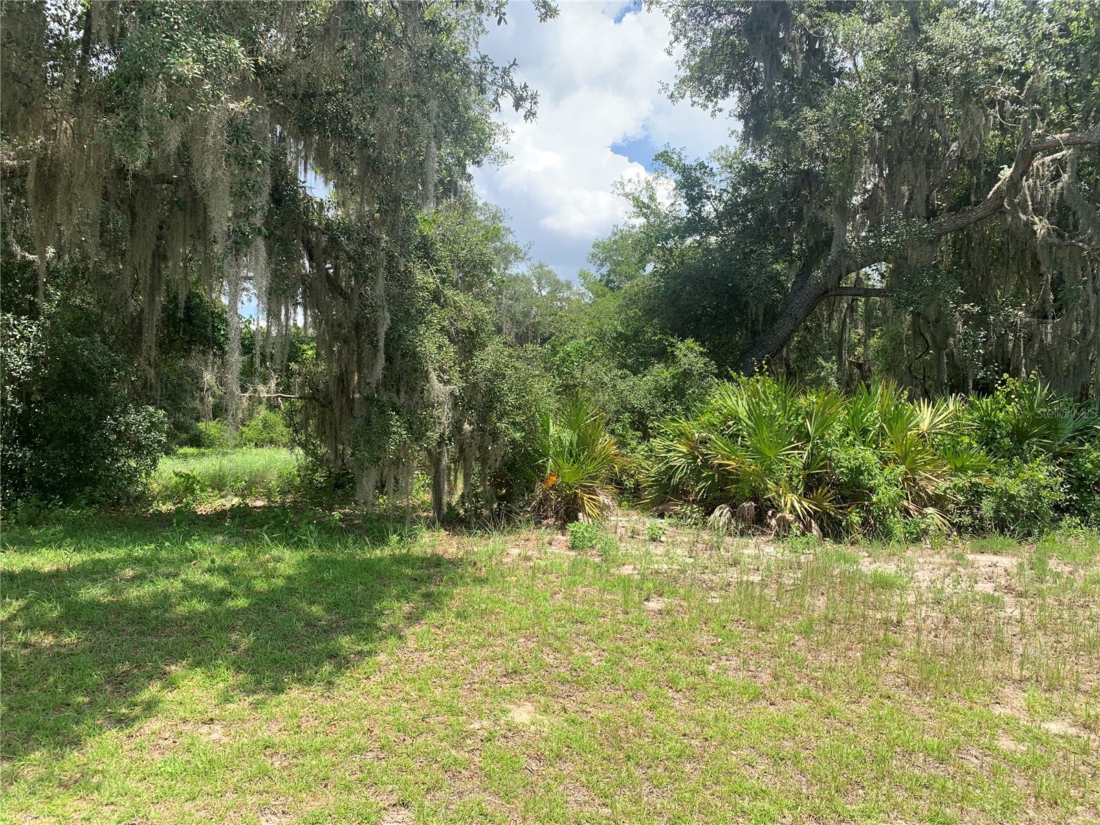 3113 Bright Lake Circle Groveland FL 34736 G5114016 image1