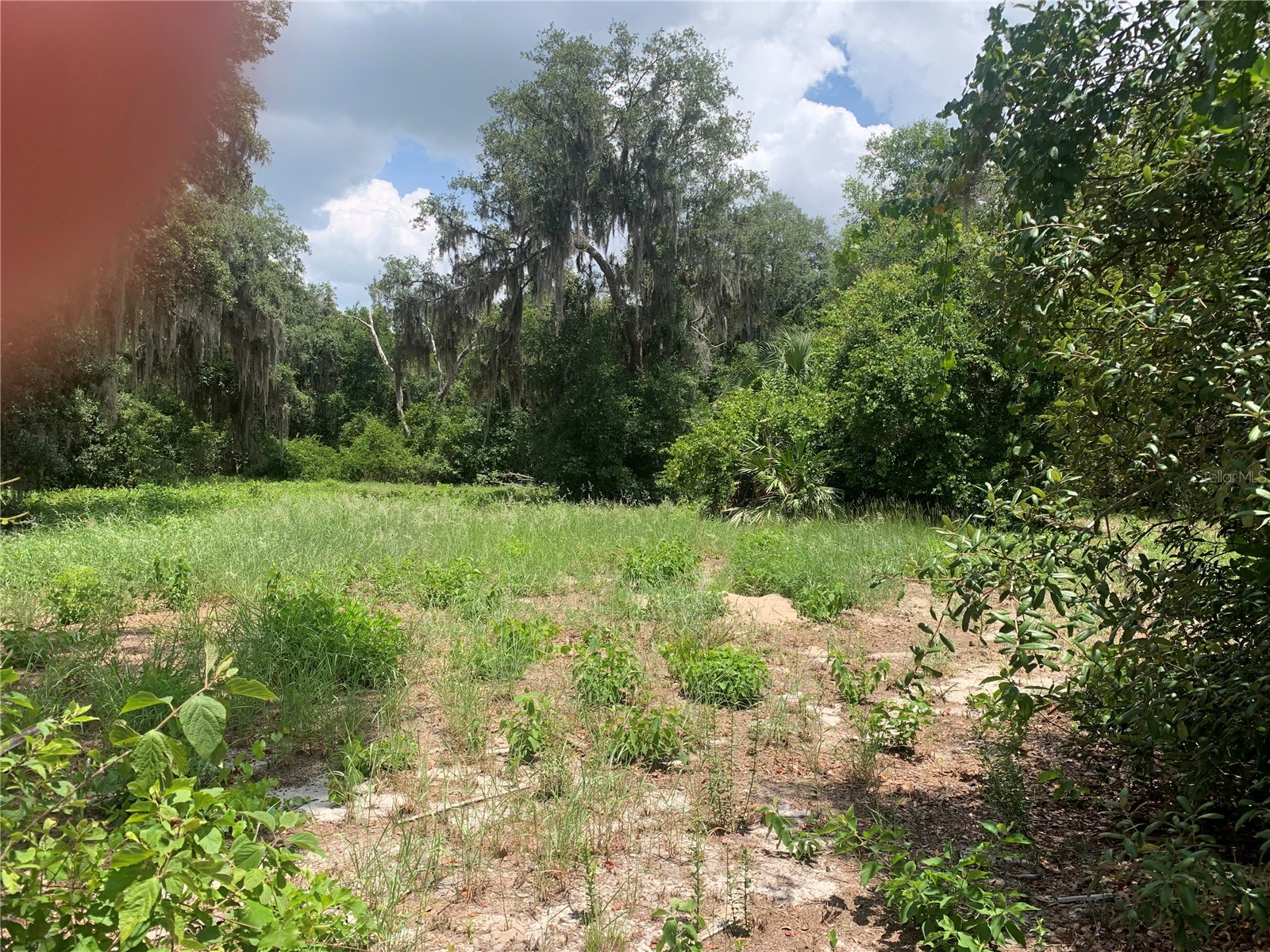 3113 Bright Lake Circle Groveland FL 34736 G5114016 image2