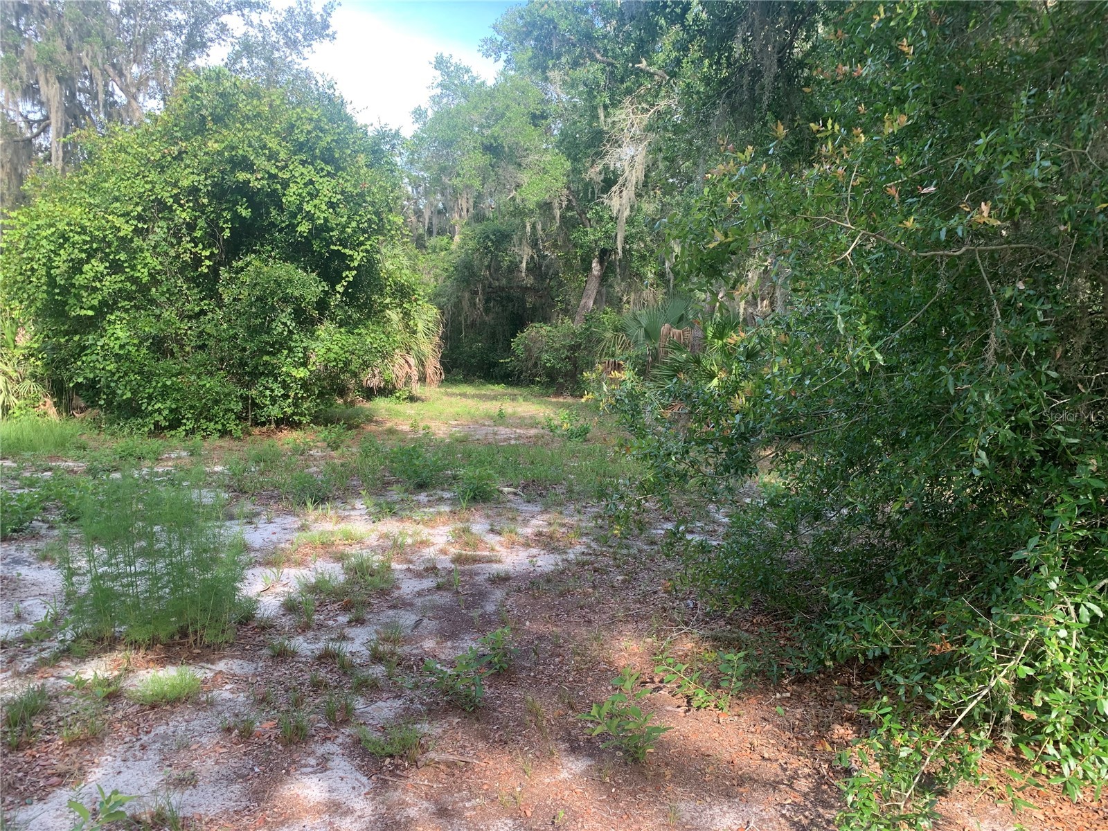 3113 Bright Lake Circle Groveland FL 34736 G5114016 image3