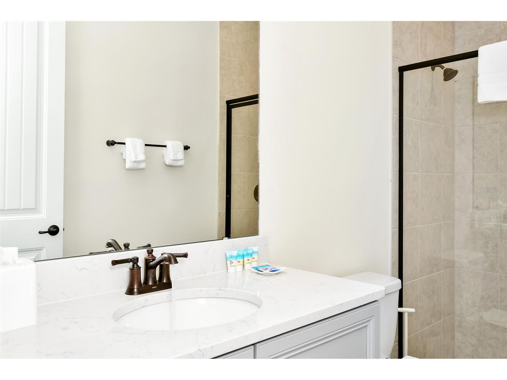 3113 Caribbean Soul Drive Kissimmee FL 34747 O6381263 image21