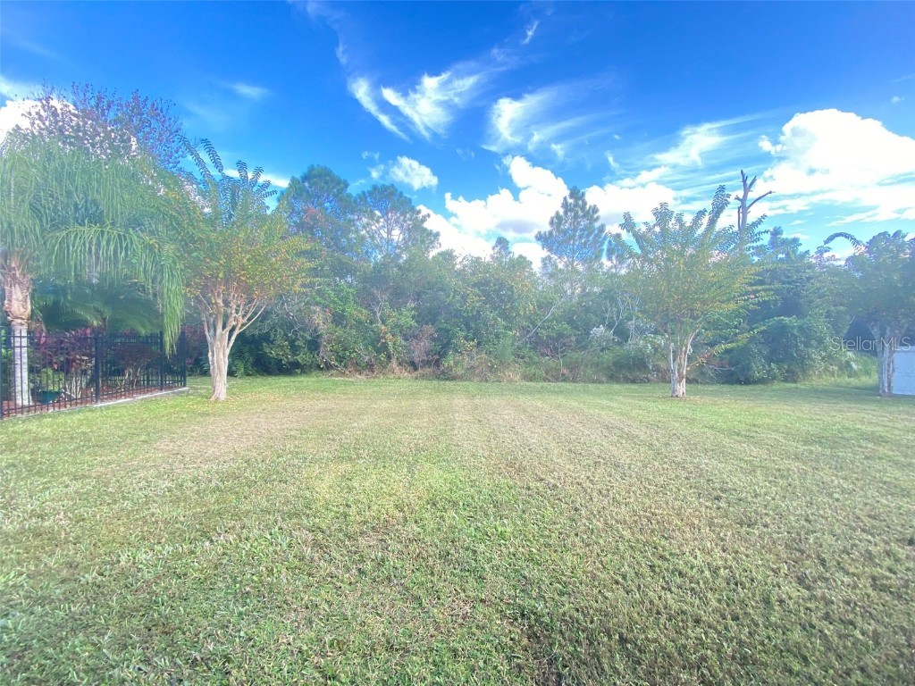 3113 Curving Oaks Way Orlando FL 32820 O6359645 image44