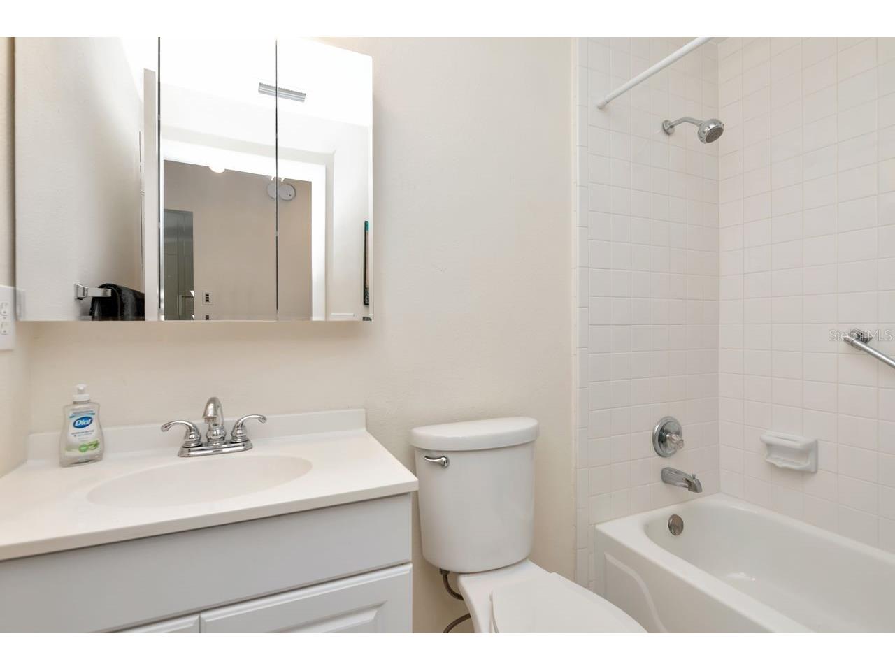 3113 Lake Pine Way #C Tarpon Springs FL 34688 TB8467875 image26