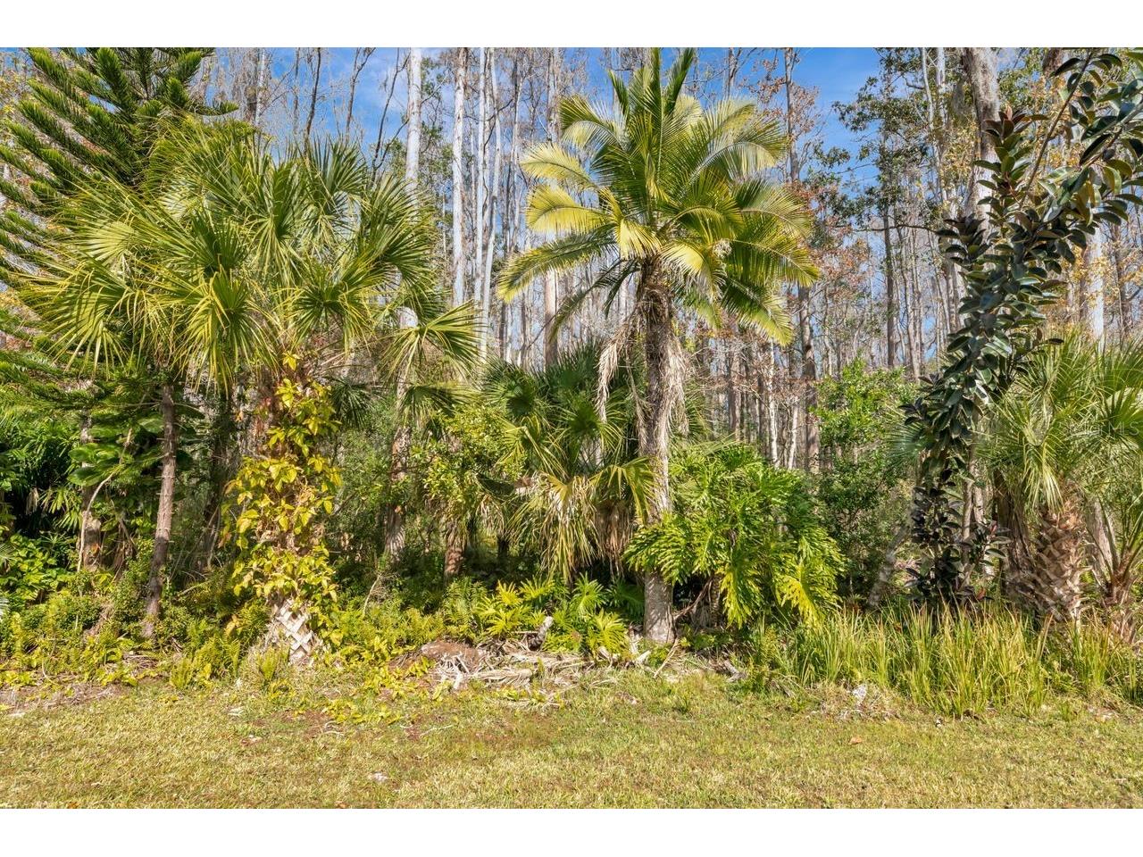 3113 Lake Pine Way #C Tarpon Springs FL 34688 TB8467875 image32