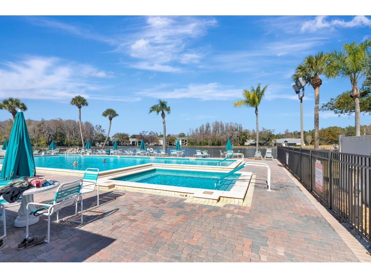 3113 Lake Pine Way #C Tarpon Springs FL 34688 TB8467875 image33