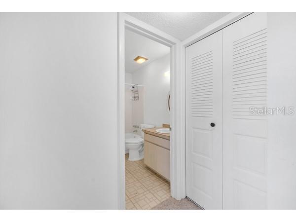3113 Mission Grove Drive #3113 Palm Harbor FL 34684 TB8502104 image17