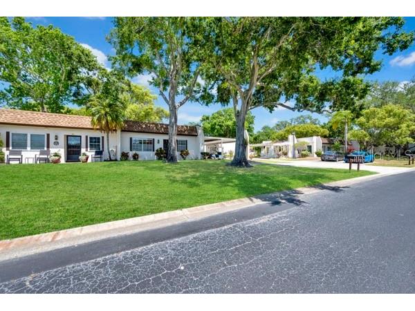 3113 Mission Grove Drive #3113 Palm Harbor FL 34684 TB8502104 image2