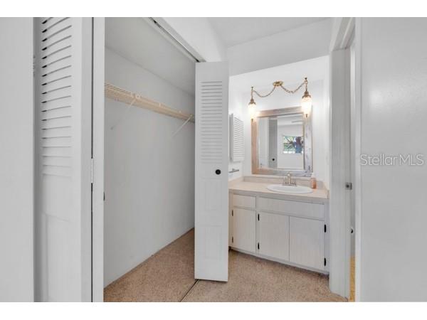 3113 Mission Grove Drive #3113 Palm Harbor FL 34684 TB8502104 image22