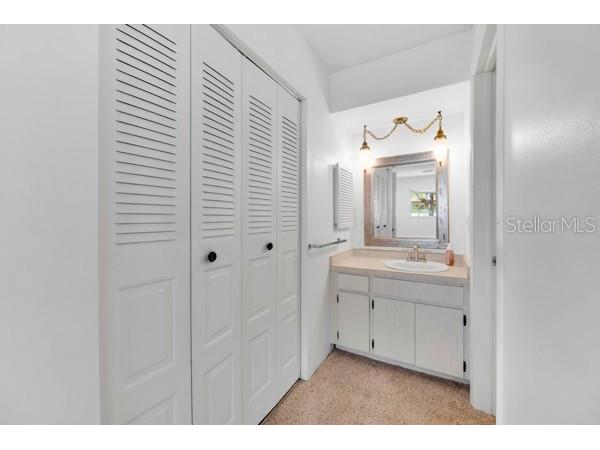 3113 Mission Grove Drive #3113 Palm Harbor FL 34684 TB8502104 image23