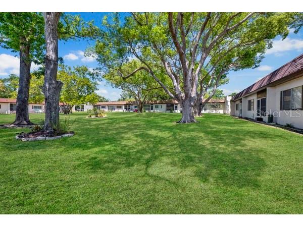 3113 Mission Grove Drive #3113 Palm Harbor FL 34684 TB8502104 image27