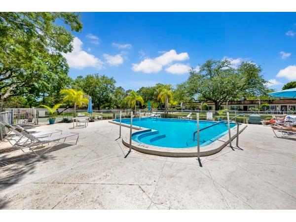 3113 Mission Grove Drive #3113 Palm Harbor FL 34684 TB8502104 image30