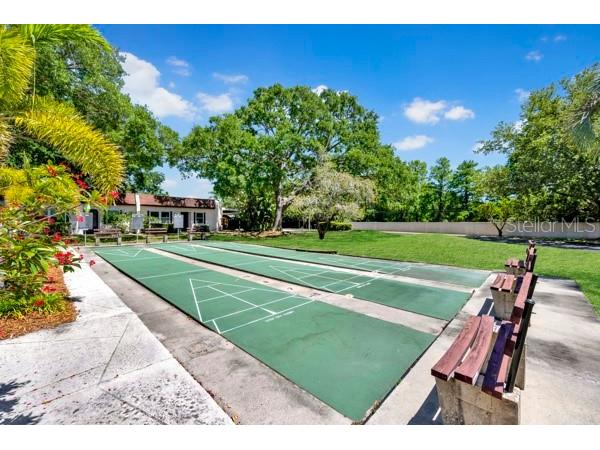 3113 Mission Grove Drive #3113 Palm Harbor FL 34684 TB8502104 image32
