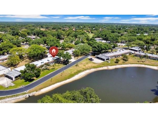 3113 Mission Grove Drive #3113 Palm Harbor FL 34684 TB8502104 image35