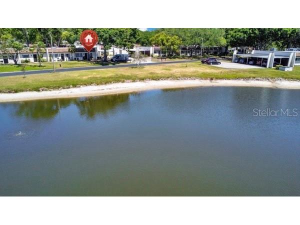 3113 Mission Grove Drive #3113 Palm Harbor FL 34684 TB8502104 image36