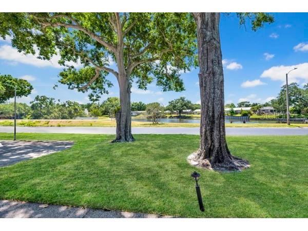 3113 Mission Grove Drive #3113 Palm Harbor FL 34684 TB8502104 image6