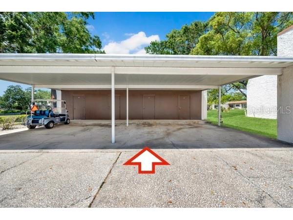 3113 Mission Grove Drive #3113 Palm Harbor FL 34684 TB8502104 image7