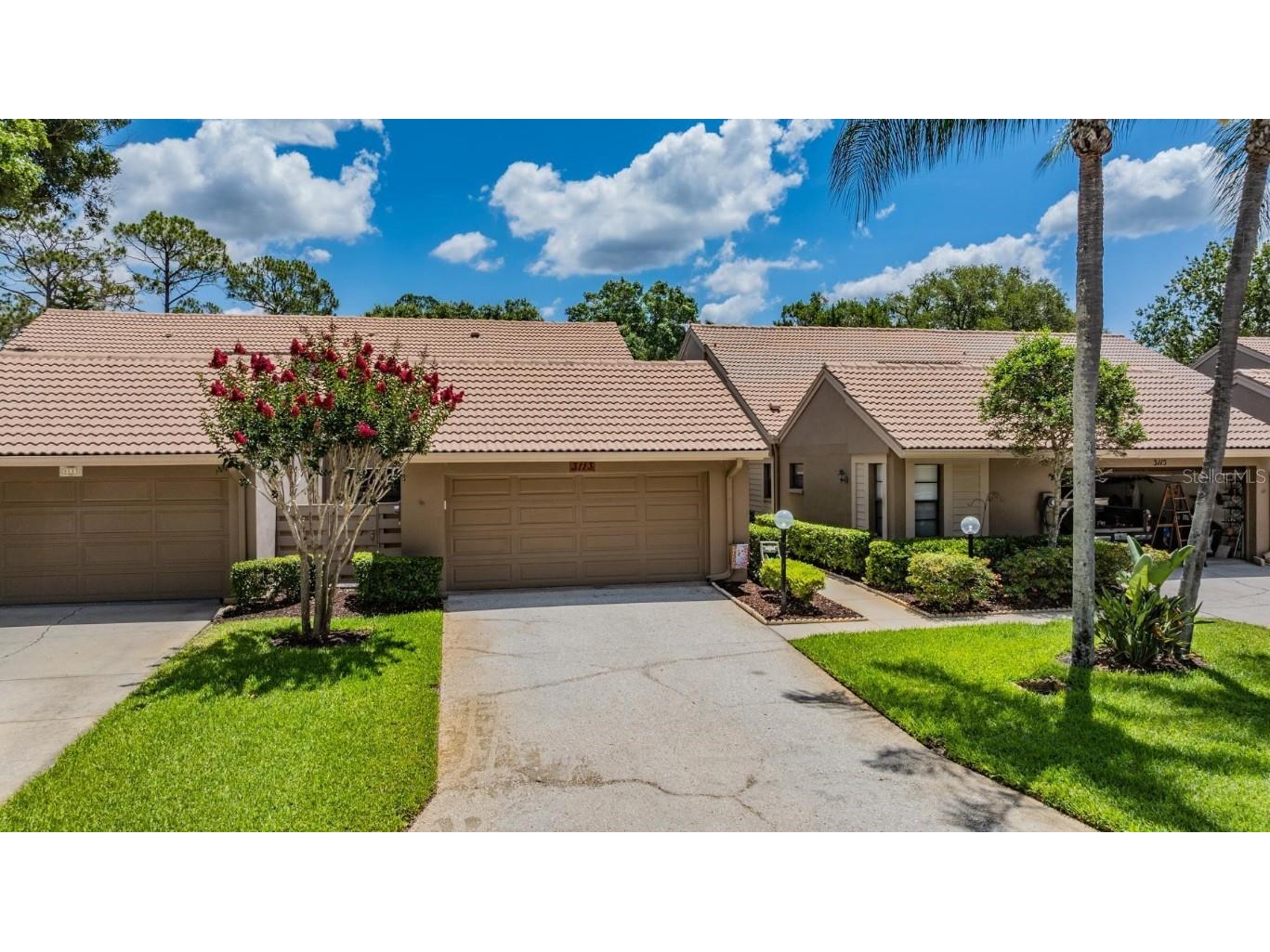 3113 Windmoor Drive N Palm Harbor FL 34685 U8243951 image1