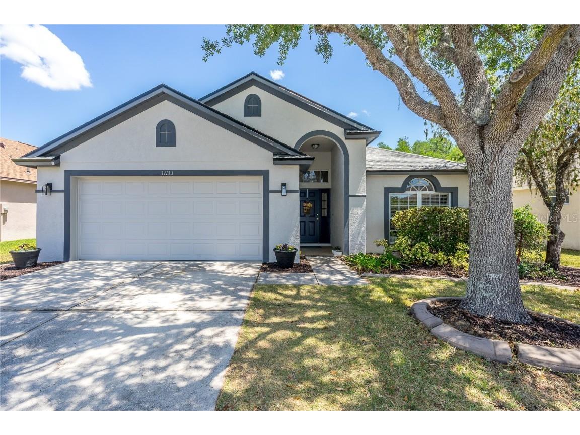31133 Chatterly Drive Wesley Chapel FL 33543 T3442439 image1