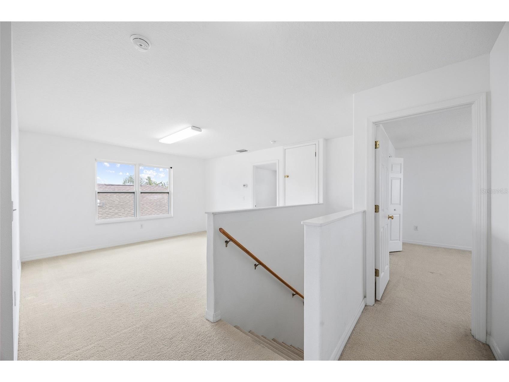 31139 Masena Drive Wesley Chapel FL 33545 TB8410206 image24