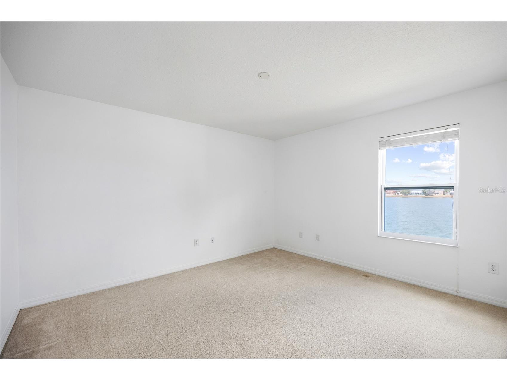 31139 Masena Drive Wesley Chapel FL 33545 TB8410206 image36