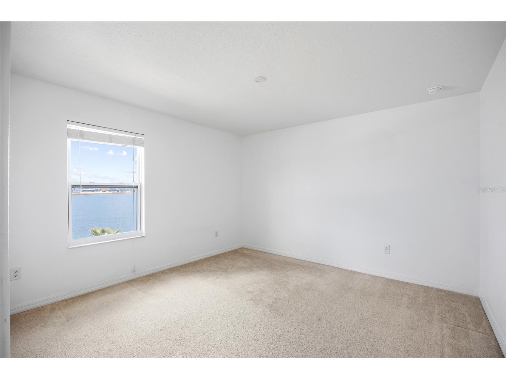 31139 Masena Drive Wesley Chapel FL 33545 TB8410206 image40