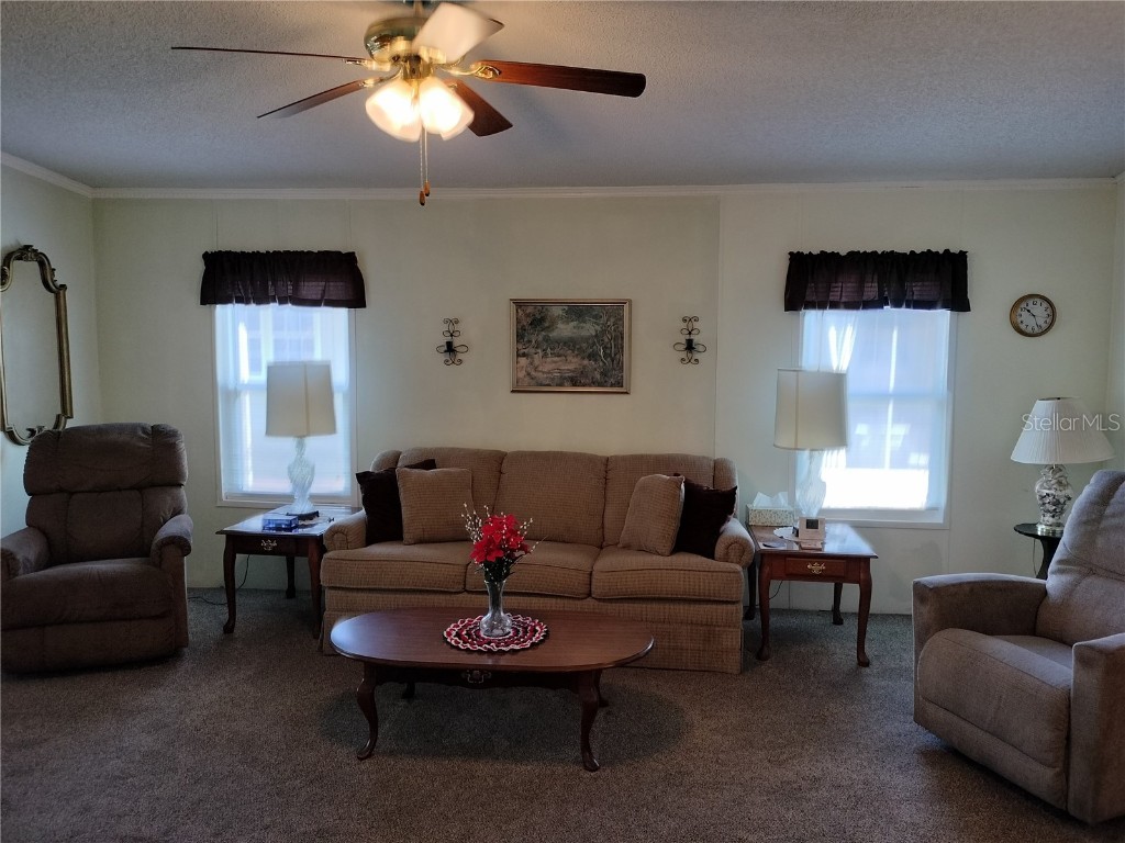 3114 Briar St. Street Wesley Chapel FL 33543 TB8367452 image18