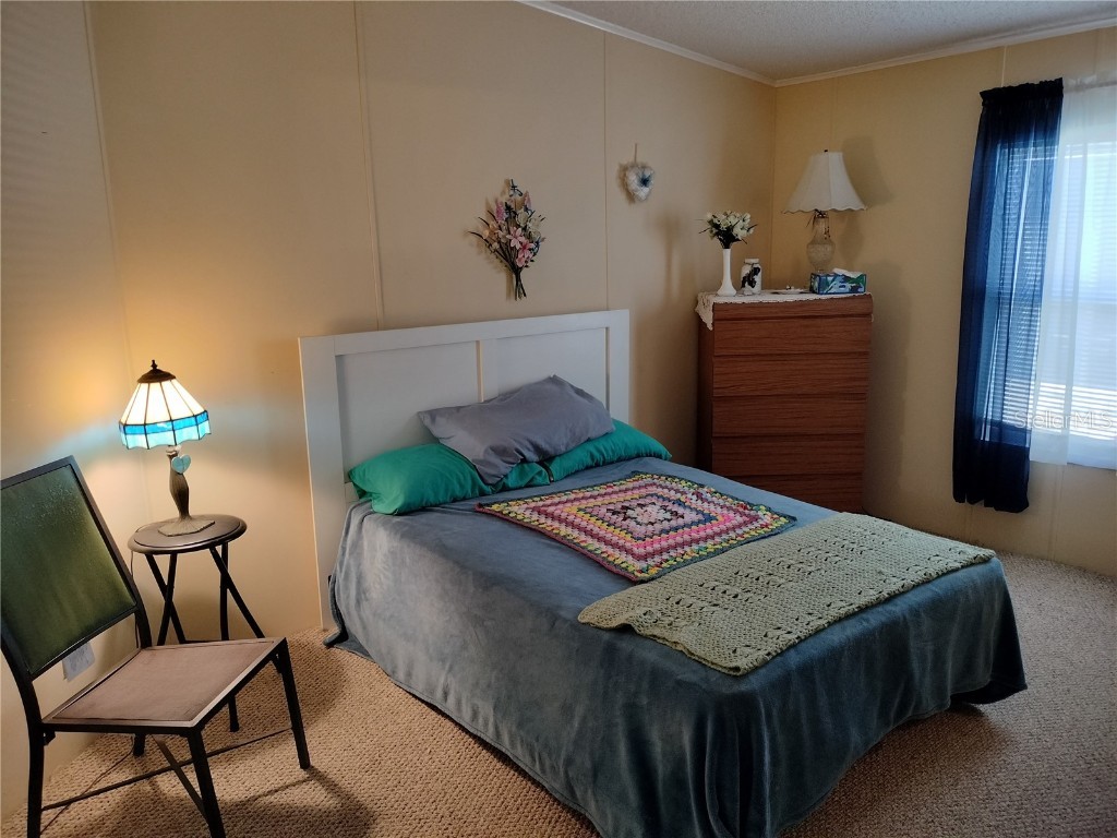 3114 Briar St. Street Wesley Chapel FL 33543 TB8367452 image21