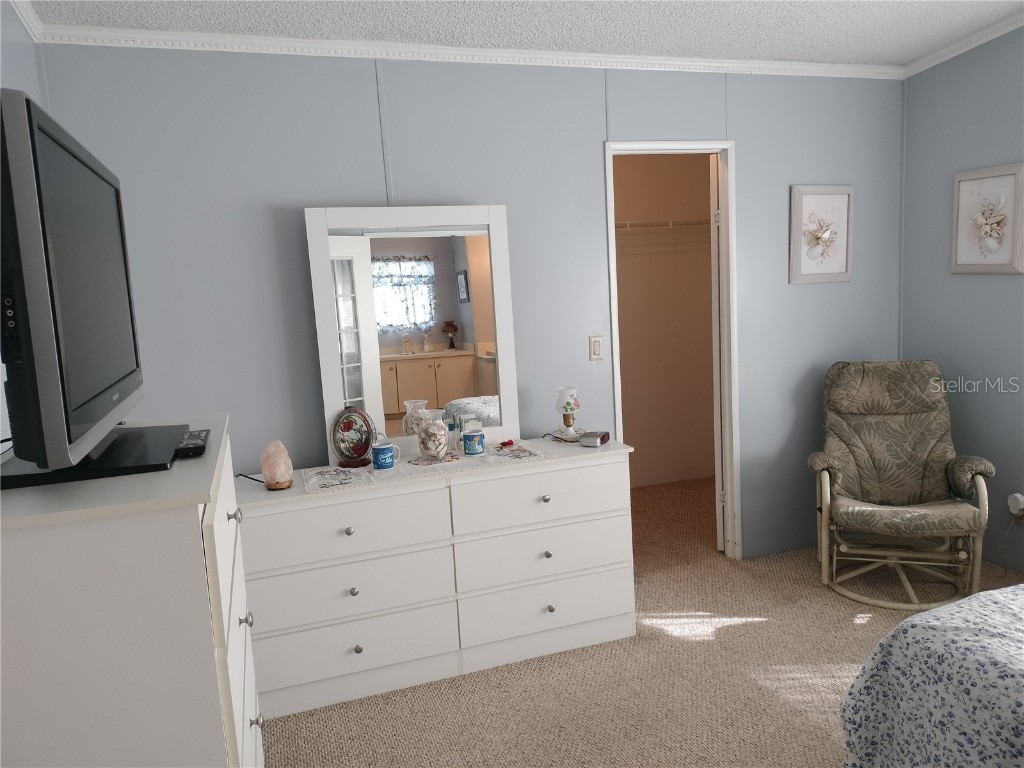 3114 Briar St. Street Wesley Chapel FL 33543 TB8367452 image24