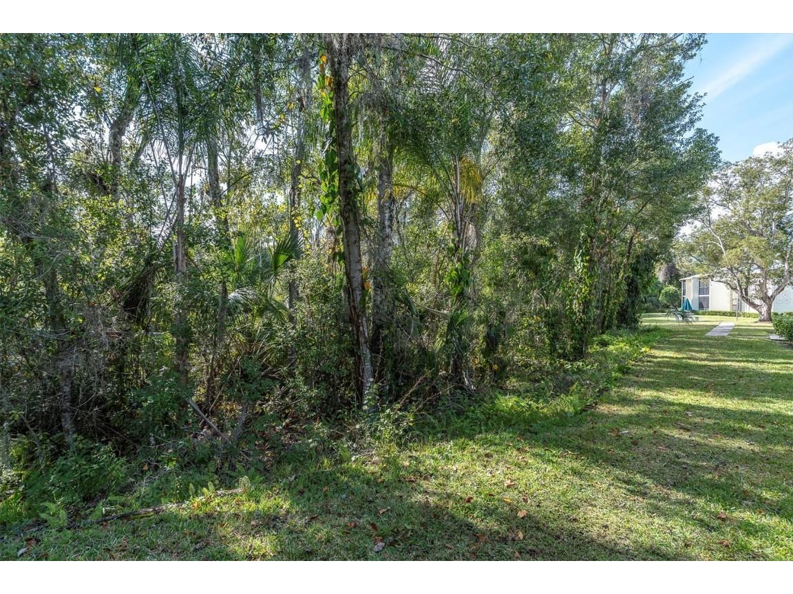 3114 Lake Pine Way #B2 Tarpon Springs FL 34688 TB8451823 image26