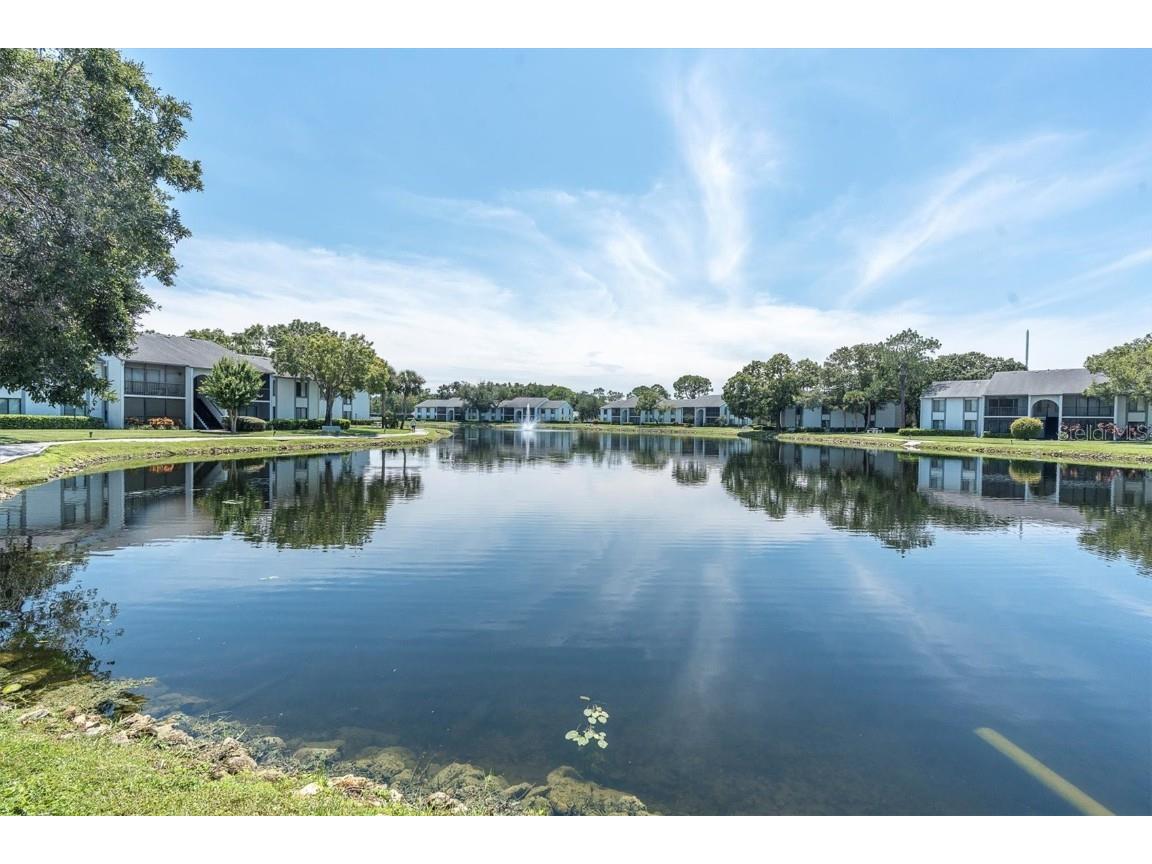 3114 Lake Pine Way #B2 Tarpon Springs FL 34688 TB8451823 image32
