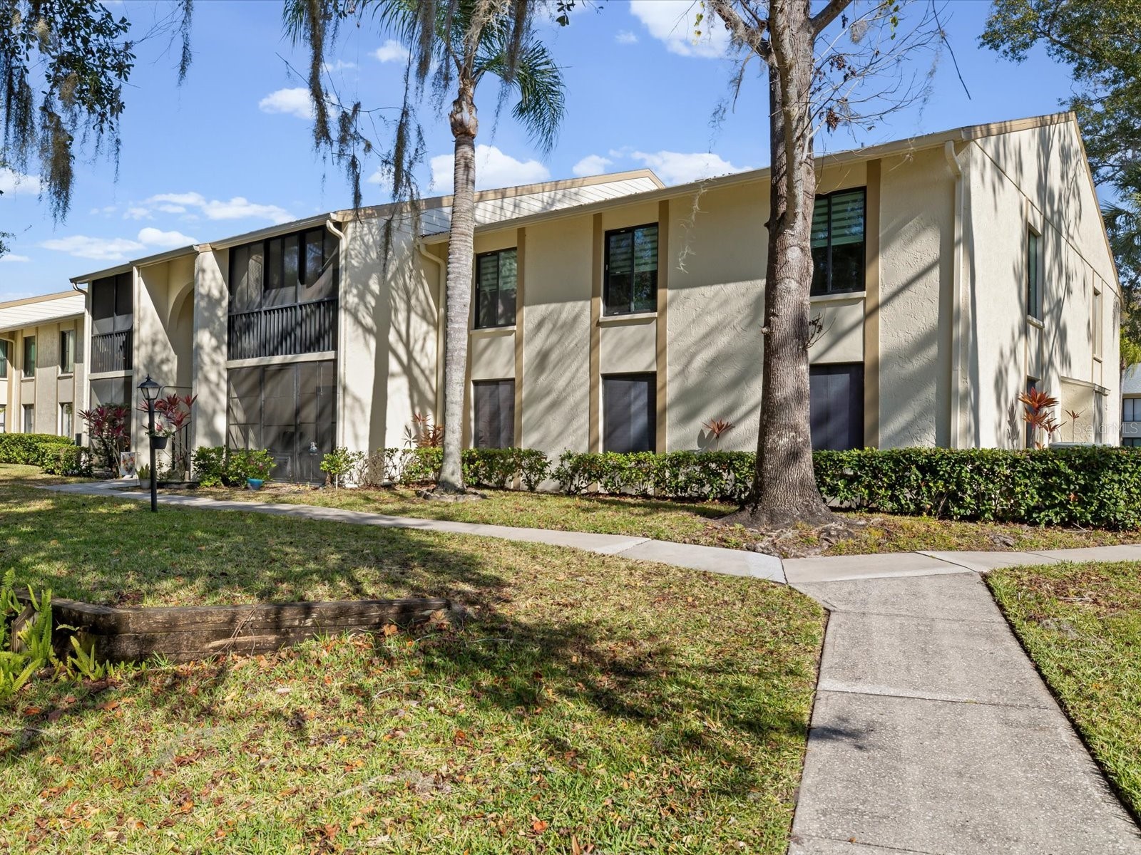 3114 Lake Pine Way #B2 Tarpon Springs FL 34688 TB8466755 image1