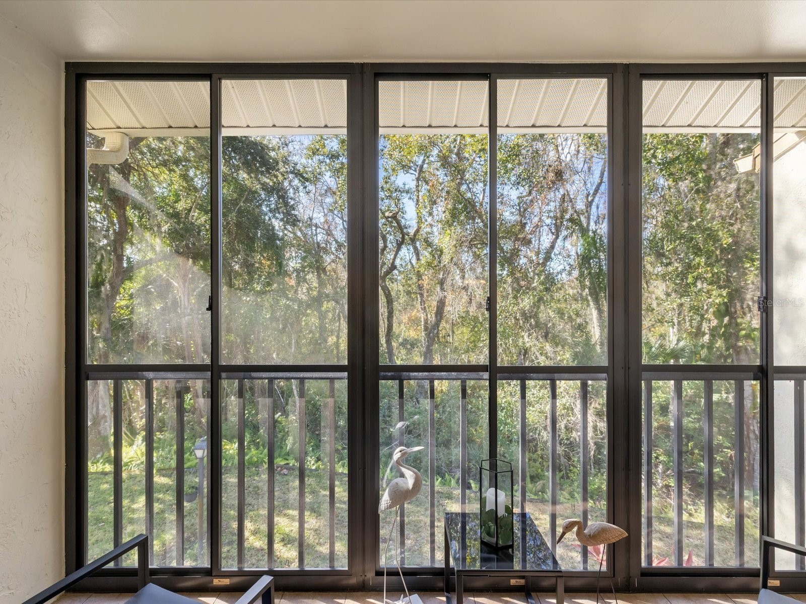 3114 Lake Pine Way #B2 Tarpon Springs FL 34688 TB8466755 image21