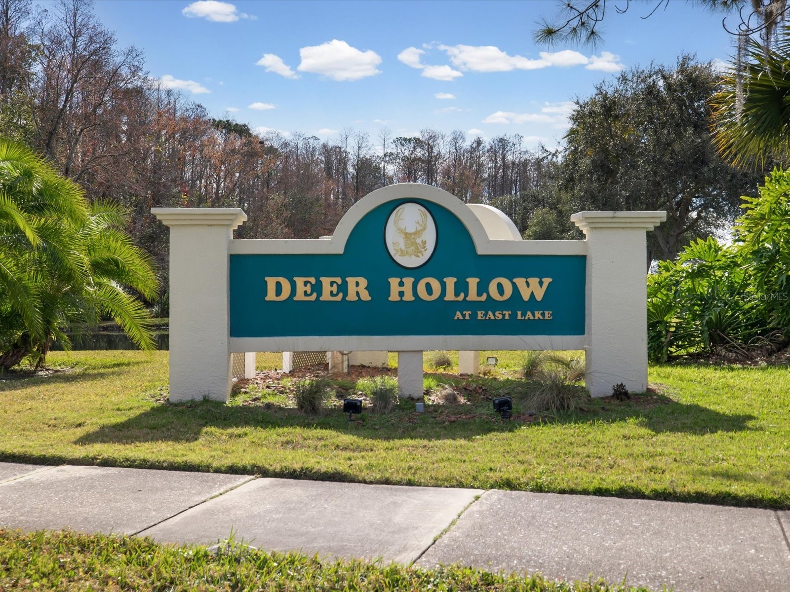 3114 Lake Pine Way #B2 Tarpon Springs FL 34688 TB8466755 image23