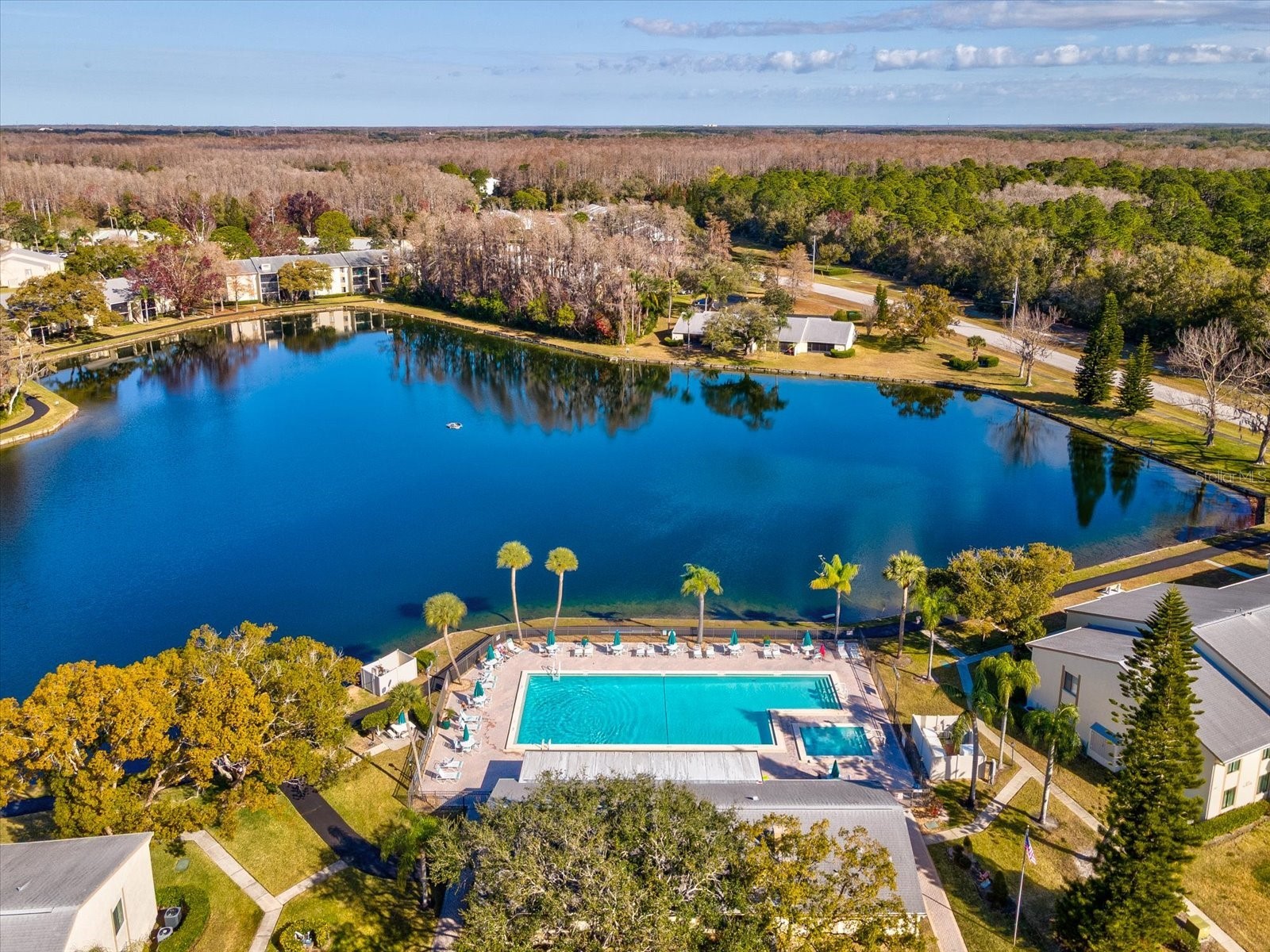 3114 Lake Pine Way #B2 Tarpon Springs FL 34688 TB8466755 image39