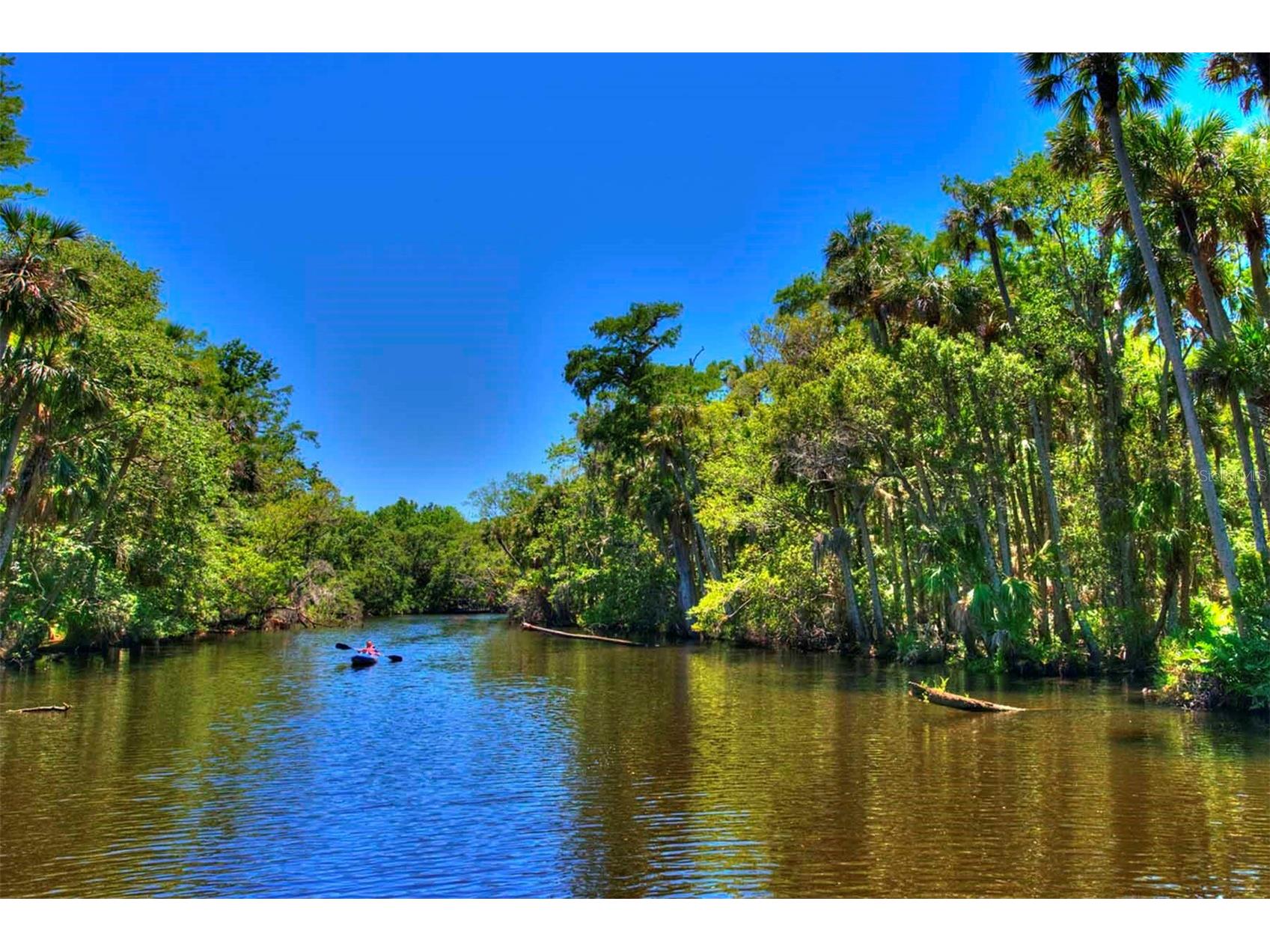 3114 Spruce Creek Boulevard Port Orange FL 32128 NS1087733 image42