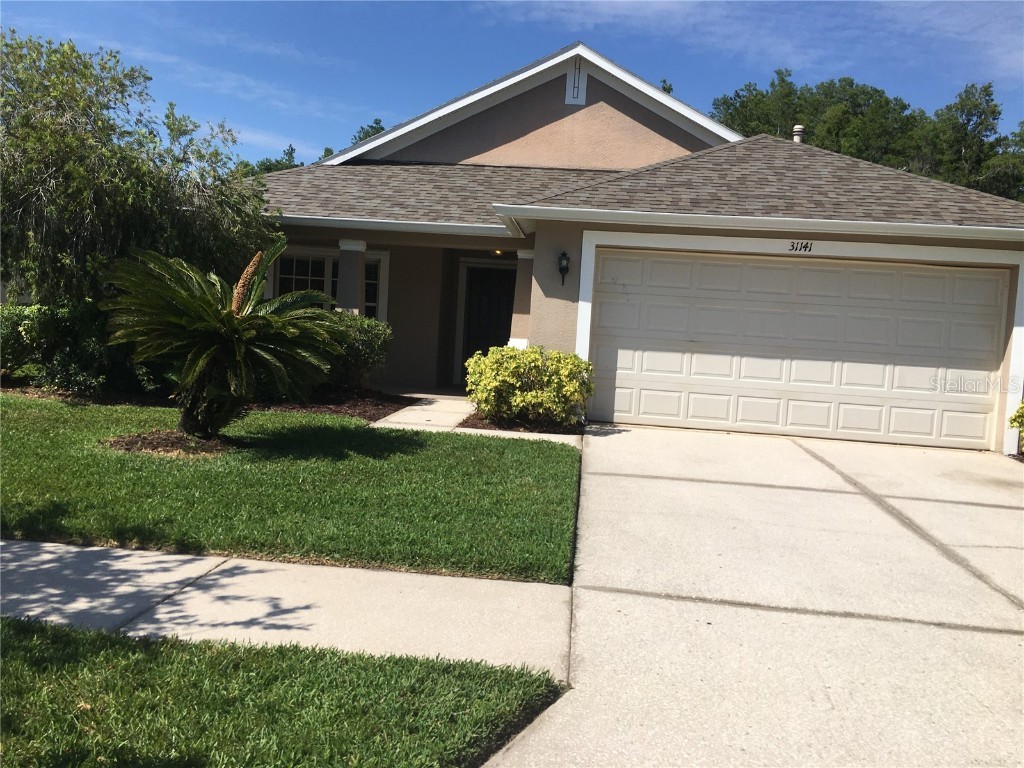 31141 Chatterly Drive Wesley Chapel FL 33543 T3529616 image1